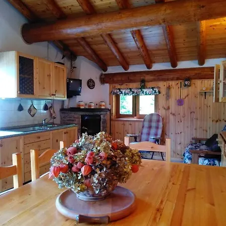 Holiday home La Baita Di Heidi - Your Mountain Holiday Casargo