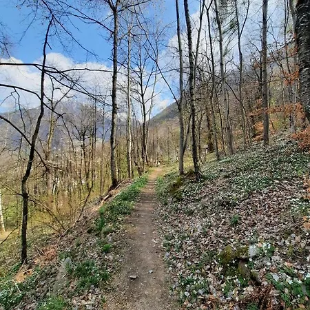 Holiday home La Baita Di Heidi - Your Mountain Holiday *