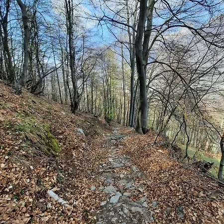 Holiday home La Baita Di Heidi - Your Mountain Holiday *